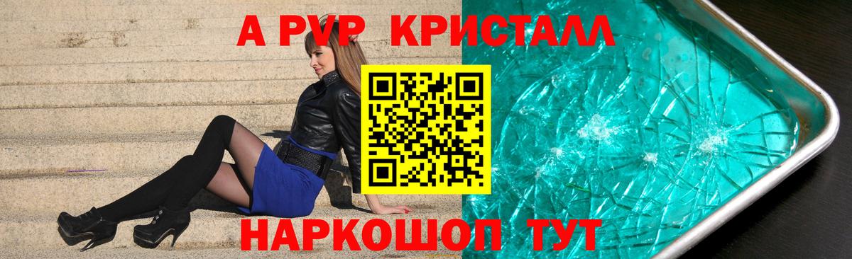 A PVP СК КРИС Магадан