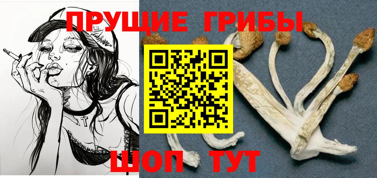 Псилоцибиновые грибы Psilocybe  Вход с VPN  Магадан 