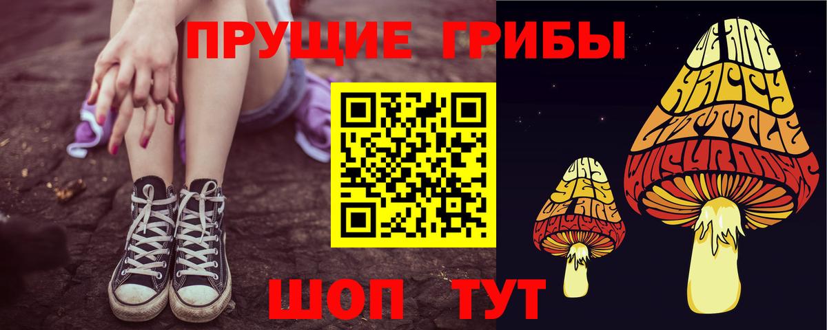 Псилоцибиновые грибы Psilocybine cubensis Магадан